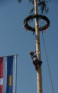 Maibaum
